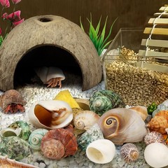 Hermit Crab Shells – Natural Coconut Shell Hut with Artificial Plants, Seashe…