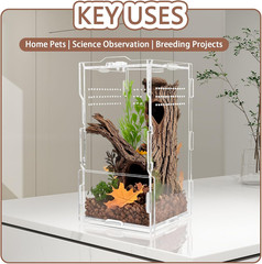 8x4x4in Vertical Acrylic Jumping Spider Enclosure – Arboreal Tarantula & Reptile
