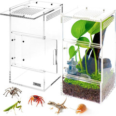 ACRYLIC TERRARIUM HABITAT Spider Tarantulas Reptiles Enclosure Magnetic Doors