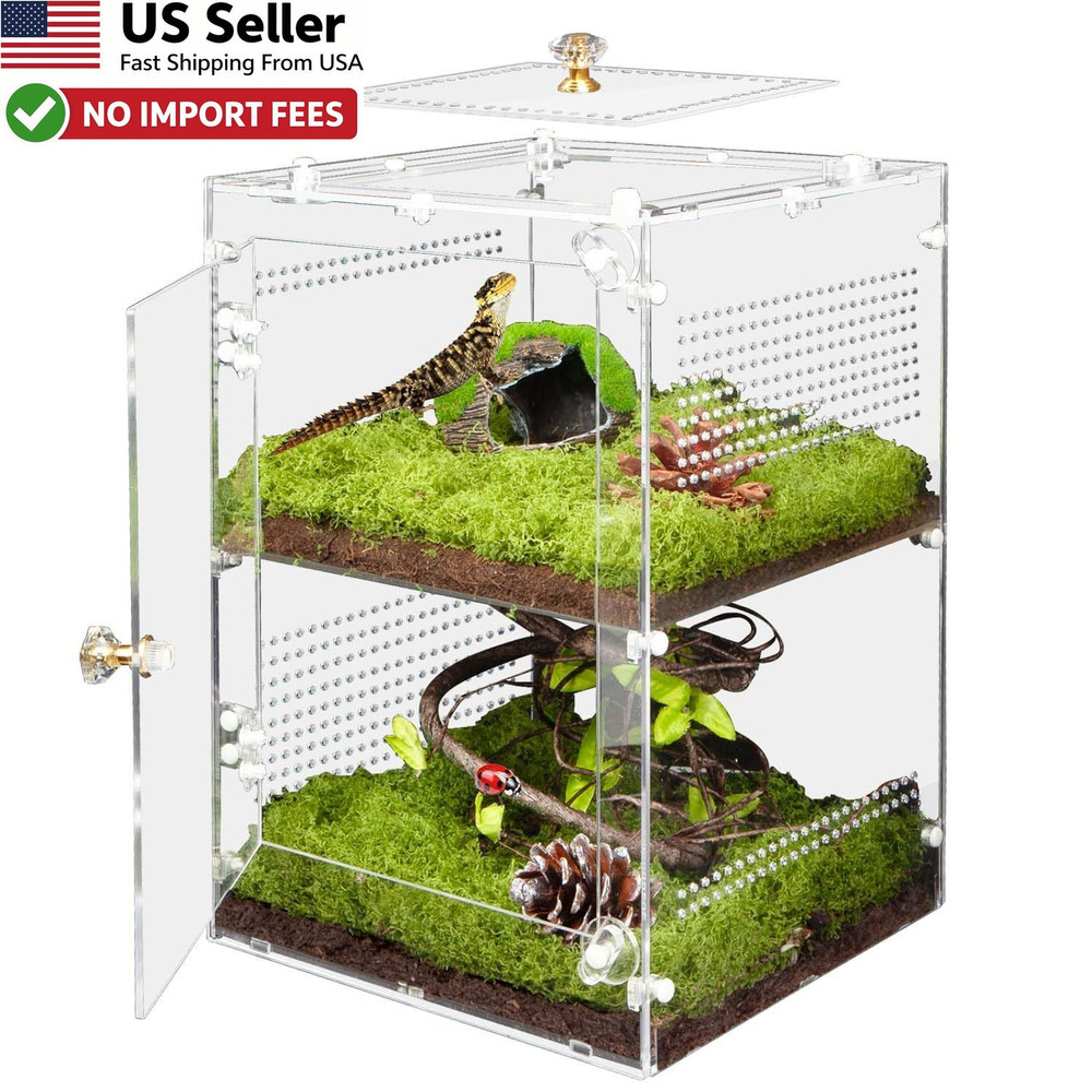 Large Jumping Spider Enclosure 2 in 1 Ventilated Reptile Terrarium Acrylic