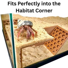 Hermit Crab Underground Tunnel Cave Corner Climbing Tank Decor Hideout Habitat