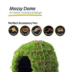 05366 6 Inch Galapagos Green Mossy Dome Hide Reptile Terrarium Shelter Decor