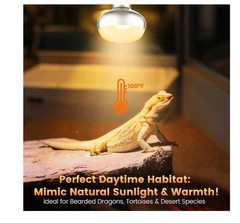 Dual Reptile Lamp Fixture with 100W Daytime Heat & 100W Nighttime