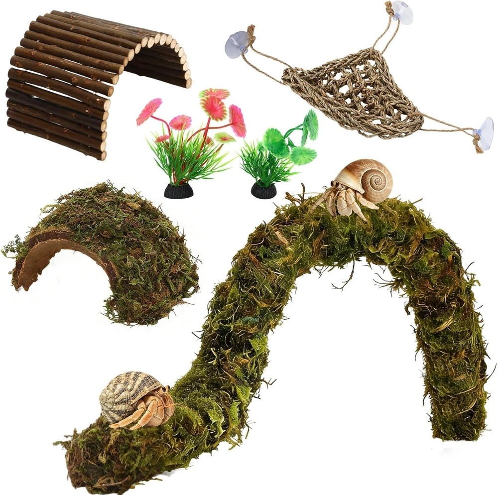 Hermit Crab Accessories, 6 Pieces Hermit Crab Climbing Toys Coconut Shell Hut wi