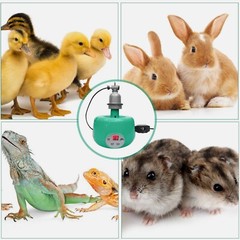 Chicken Farm Heat Lamp with Remote Control Heater Fan for Poultry and Reptiles