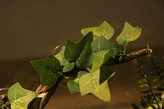 Durable Climbing Branch Decoration for Snakes, Lizards & Frogs—Easy Installation