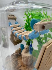 Blue Glow Spider Enclosure – Stylish Pet House for Jumping Spiders