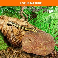 Gecko Hide Cave, 2 in 1 Snake Reptile Hideout for Hide & Rest & Breed & Feedi…