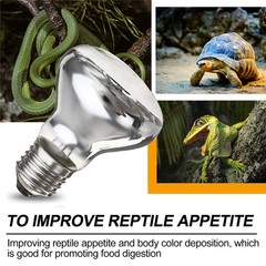 220V 40-75W Reptile Lamp Mini Pet Heating Lamp R63 UV Day Night Amphibian Turtle
