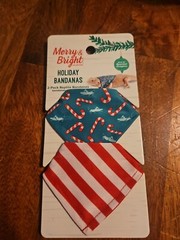 Bearded Dragon Holiday 2-pack bandanas
