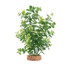Fluval Aqualife Green Bacopa Plant Select Size:: 10 inch