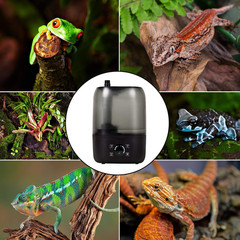 4L Reptile Fogger Mister Tank, Terrariums Digital Tank Timing Humidifier Smart T