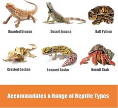 Bearded Dragon Tank Accessories Reptile Climbing Hammock Bridge Lizard Lounger