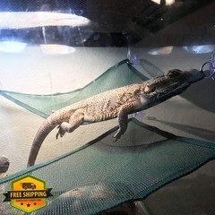 ADOGGYGO Bearded Dragon Lizard Hammock, Reptile Lounger Ladder, Bearded Drago…