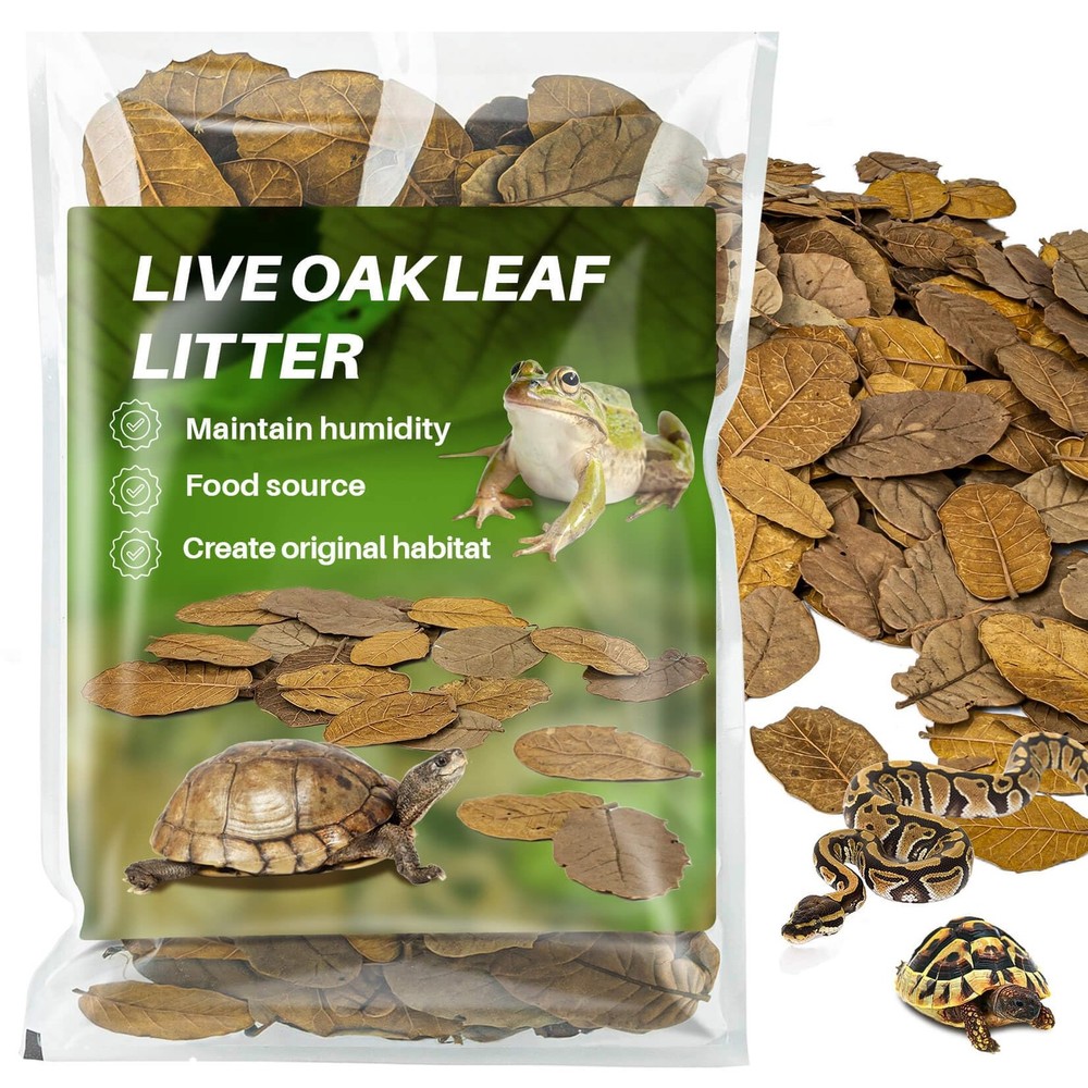 4.9 OZ Dry Oak Leaf Litter – Leaf Litter for Reptiles Oak Leaves for Isopods …