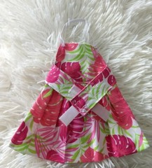 Bearded dragon Dress
