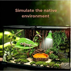 Bearded Dragon Tank Accessories, Terrarium Decor, Ball Python
