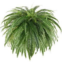 Single Silky 50″ Artificial Fern Plant, Large Fake Fern with 116Fronds, Reali…