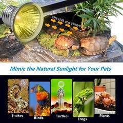Dimmable Reptile Heat Lamp with Timer + 50W UVA UVB Light Bulb, Tortoise Bask…