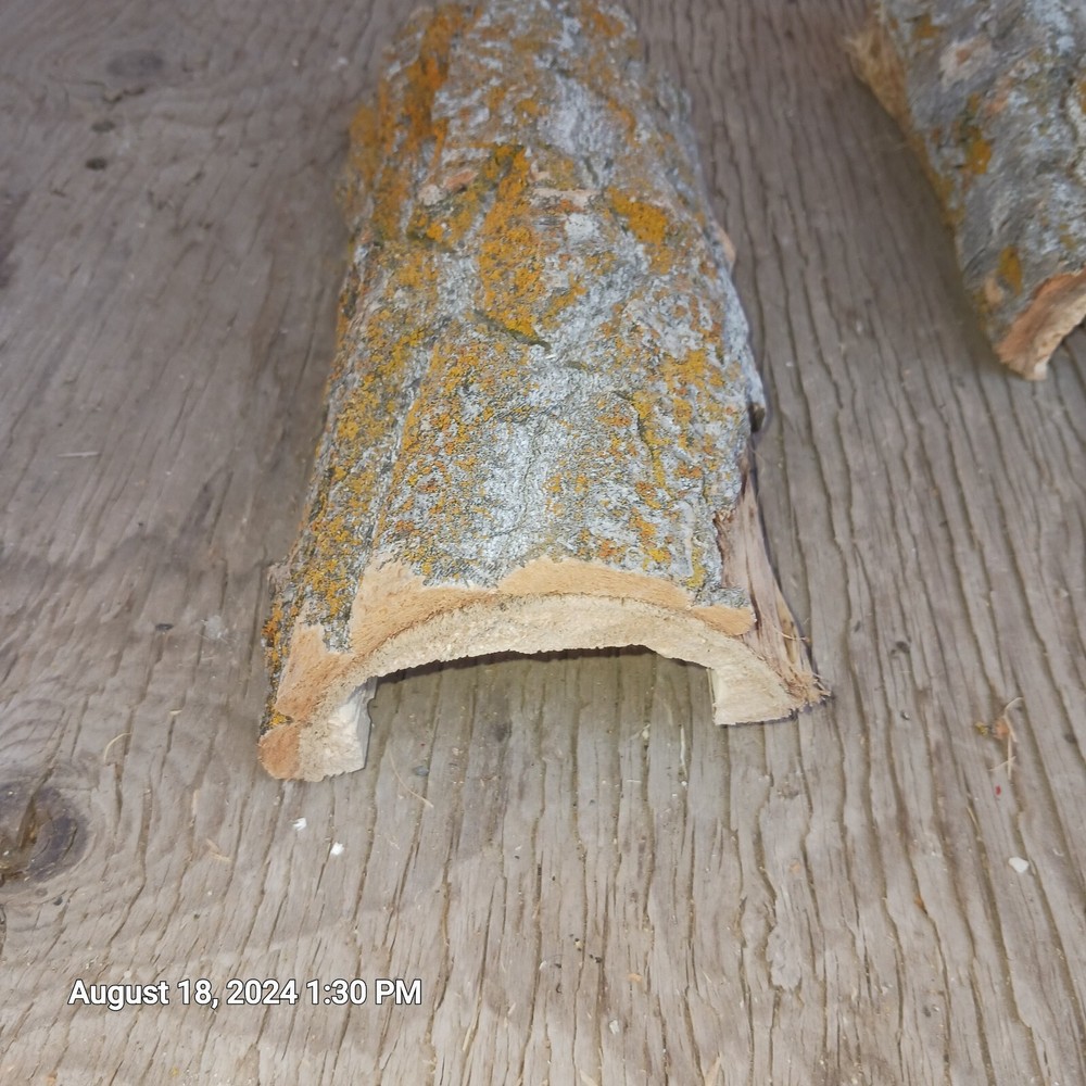 Natural Log Reptile Hide Cave House 7″-8″ Long 3″-4″ Wide 3″ Tall