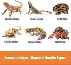 Bearded Dragon Tank Accessories Reptile Climbing Hammock Bridge Lizard Lounger