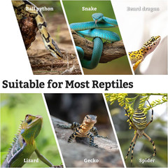 Snake Climbing Branch, 2Pcs Reptile Wood Natural Cork Log Tank Accessories Tree