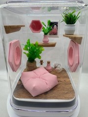Pink Paradise Jumping Spider Terrarium with Customizable Enclosure Accessories