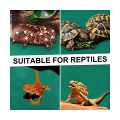 Haull 4 Pcs 24 x 47 Reptile Carpet Pet Terrarium Floor Liners B… FAST USA SHIP