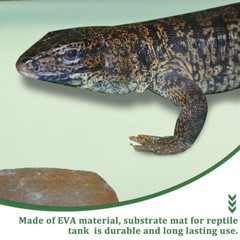 leopard gecko carpet Reptile Carpet Terrarium Substrate Liner Bearded Dragon