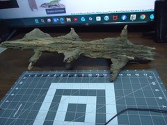 Natural Lightning Struck Tree Stump for Reptile Enclosure/Tank/Aquarium/Atrium