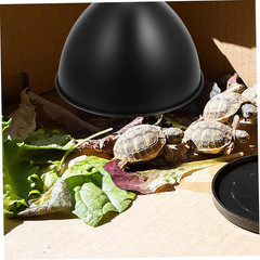 5Pcs Box Lizard Terrarium Lighting Heat Lamp Reflector Easy Install Reptile Habi