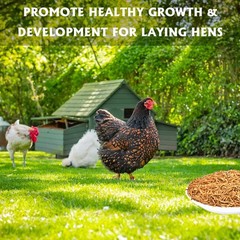 Dried Mealworms 10LB Pure Natural Non-GMO Mealworms for Chicken Ducks and Wil…