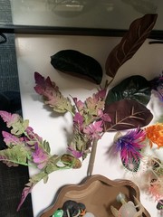 20 gallon terrarium with accessories