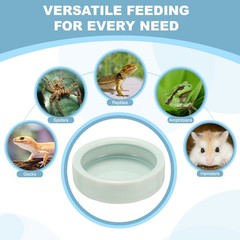Reptile Food Bowl Worm Water Dish Ceramic Pet Bowl Small 3″ Light Cyan