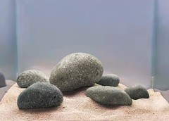 LANDEN Taiji Stone Natural Rocks(18lbs, 2~9 inches,6pcs) for Aquascape and Bo…