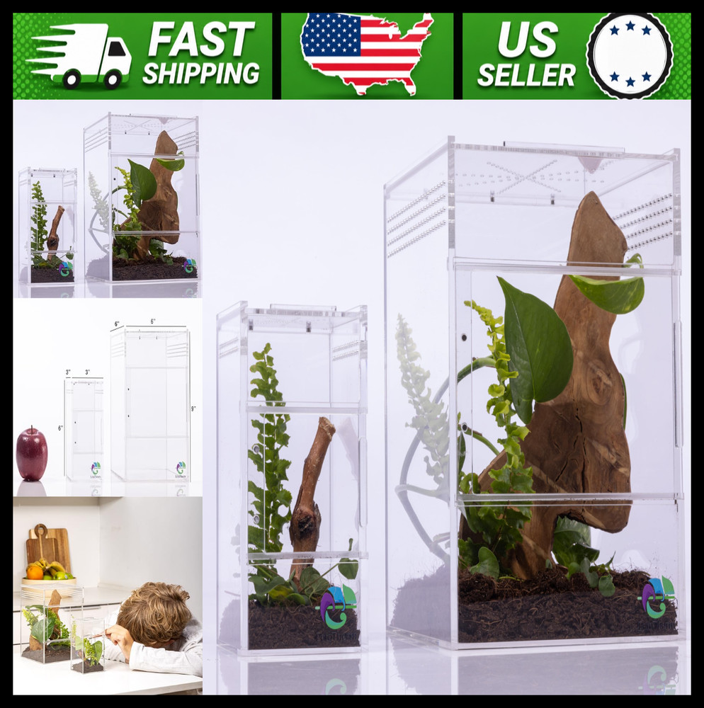 Jumping Spider Enclosure Terrarium Kit Arboreal Tarantula Habitat
