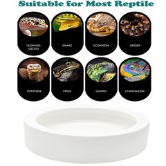 3 Pcs Reptile Food Bowl, Ceramic Water Feeder Bowl For Lizard Anoles B