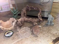 20 gallon reptile Glass Terrarium Tank w/accessories