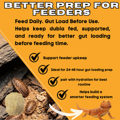 TC INSECTS Dubia Chow Premium Food for Dubia Roaches