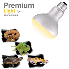 ReptiKing Reptile Heat Bulb Lamp, 2-Pack 75W Daylight 75W, White