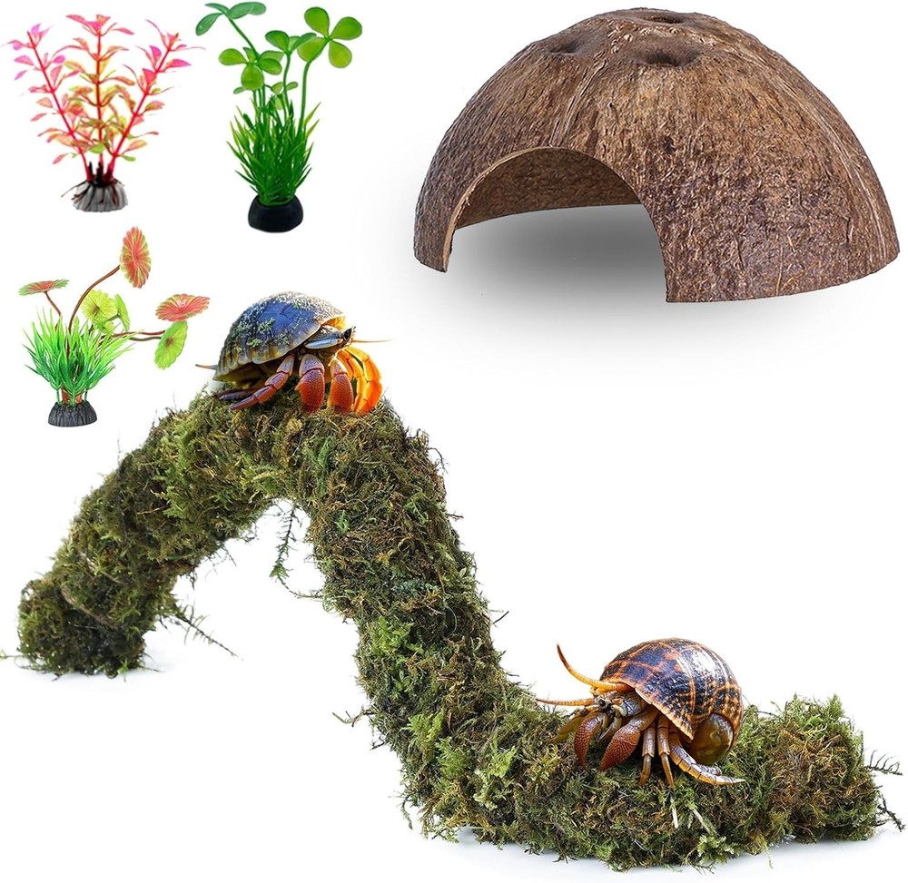 Hermit Crab Accessories, 5Pcs Hermit Crab Climbing Toys Coconut Shell Hideout
