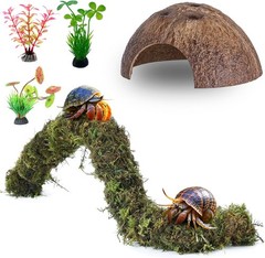 Hermit Crab Accessories, 5Pcs Hermit Crab Climbing Toys Coconut Shell Hideout
