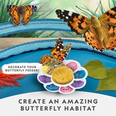 NATIONAL GEOGRAPHIC Butterfly Growing Kit – Butterfly Habitat Kit with Vouche…