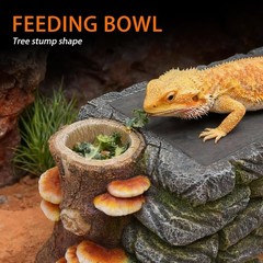 3 in 1 Bearded Dragon Basking Platform Reptile Habitat Cave Hideout W/ Food Bowl