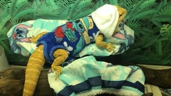 LILO & STITCH PRINTS DESIGN LRG ATTACHABLE RESTING BED COVER 4 BEARDED DRAGONS