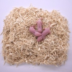 50 Frozen Feeder Mice Large Pinkies -FREE S&H -MiceDirect Rodent Reptiles Pinkys