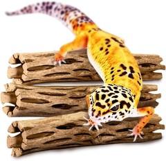 Leopard Gecko Cholla Wood 5 Inches Long Create Basking Spot Artistic Home-Decor