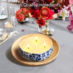 Hausware Citronella Candles Outdoor & Indoor – Large 13.5 oz Scented Candles …