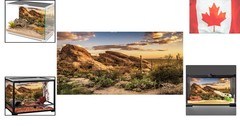 Blue Sky Oasis Cactus Background – 48×24″ Durable Polyester for Aquariums