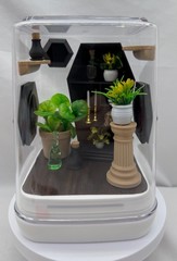 Coffin Cove jumping spider enclosure, terrarium, acrylic, home